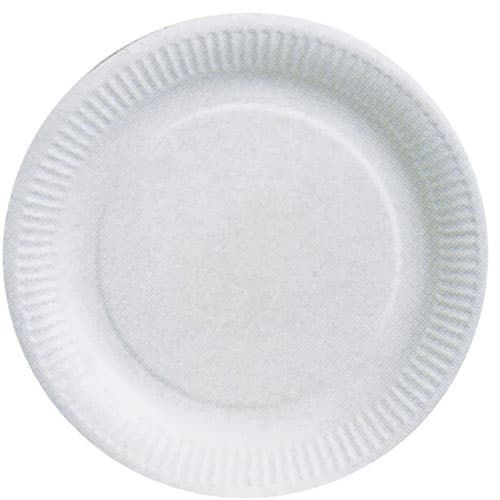 100 ASSIETTES CARTON BLANC BIODEGRADABLE