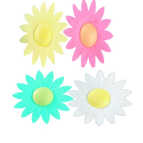 Marguerites assorties