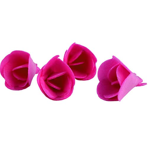 Violettes