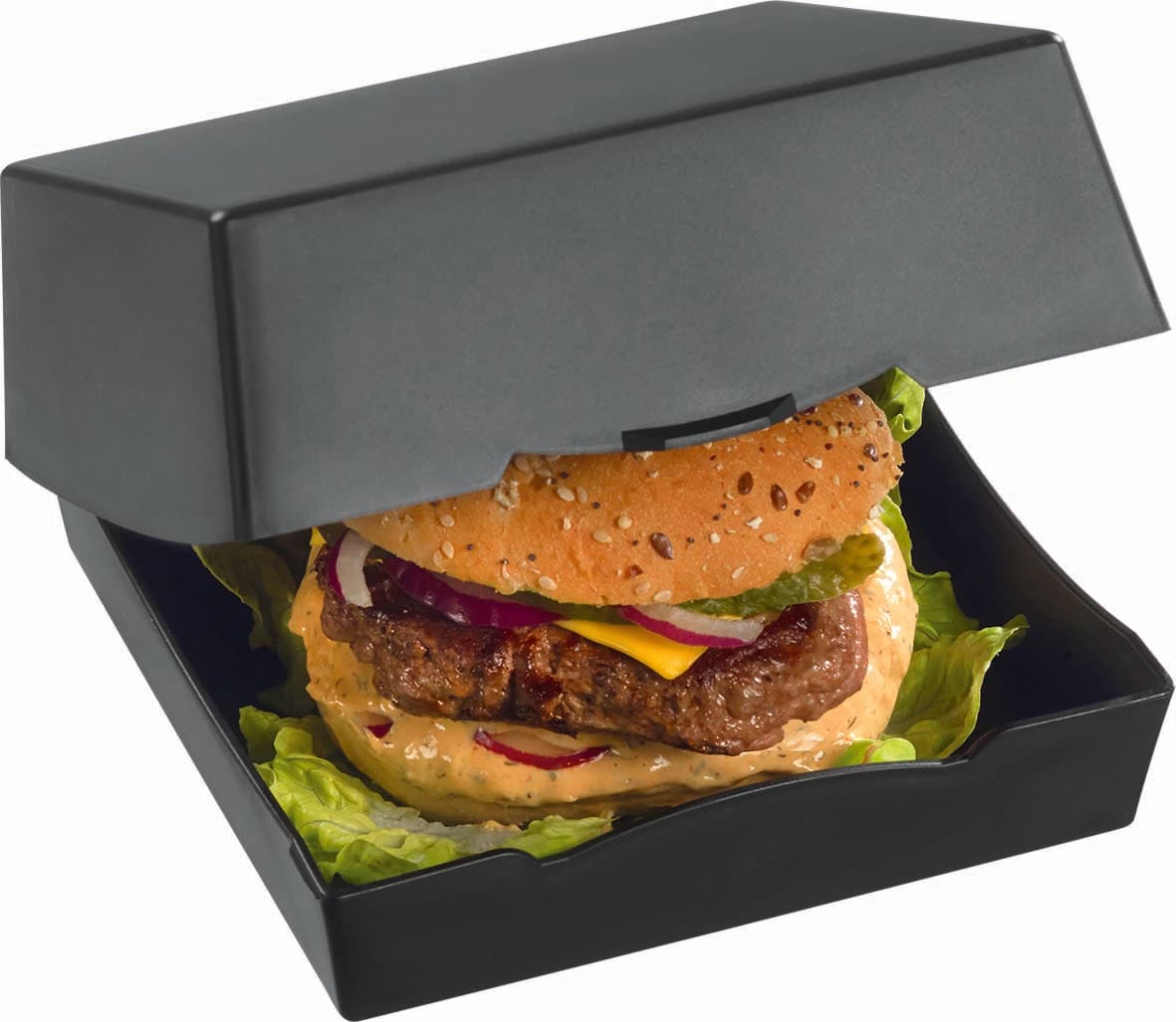 10 BOITES A BURGER EN PP EPAIS