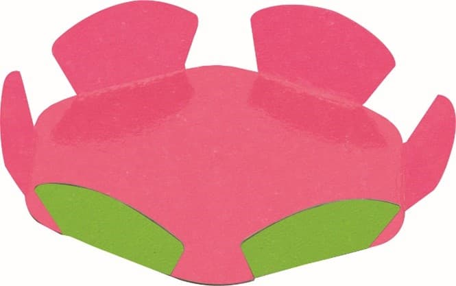 FOND PLIE COROLLE FRAMBOISE/ANIS