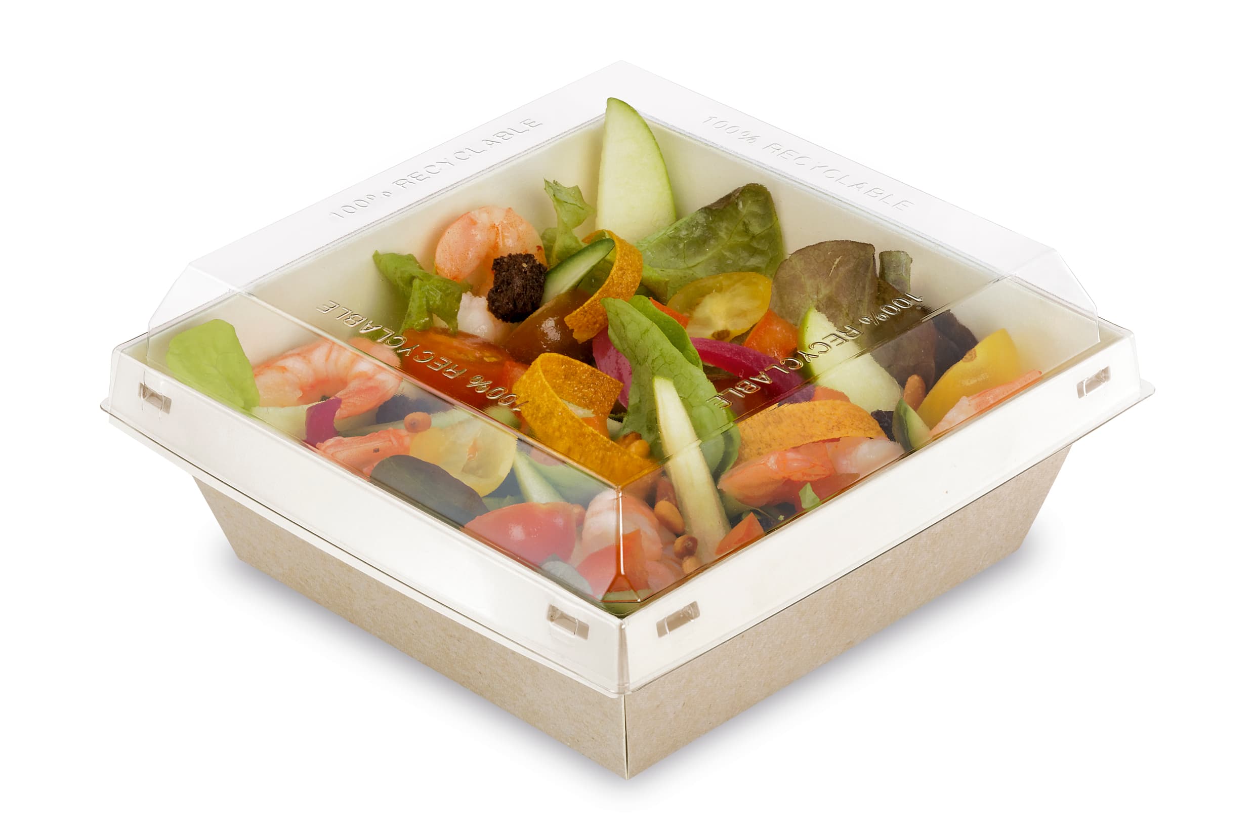120 BARQUETTES CARTON NATUREL RECYCLABLE- SANS COUVERCLE