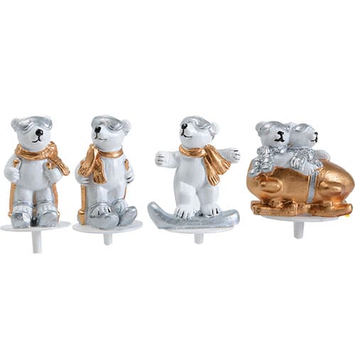 OURSON SPORTS D HIVER