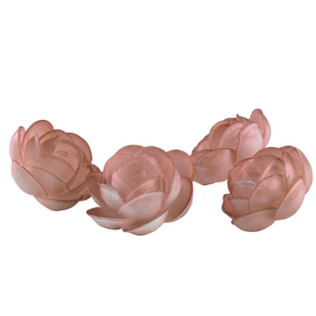 Roses Marie aérographe Ø 50
