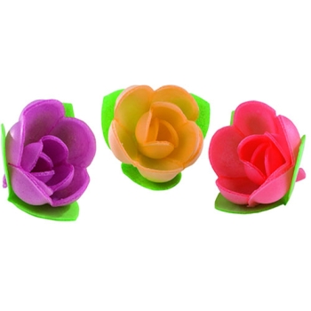 Roses  mini-corolle vive