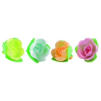 Roses mini-corolle tendre