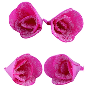 Violettes cristallisées