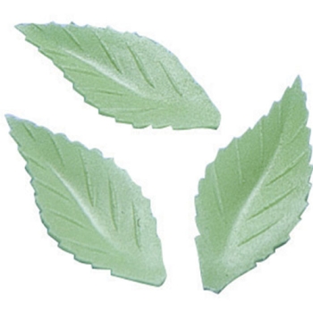 Feuilles de rose
