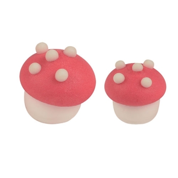 CHAMPIGNONS ASSORTIS EN SUCRE