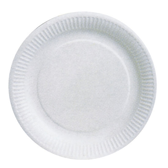 100 ASSIETTES CARTON BLANC BIODEGRADABLE