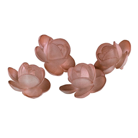 Roses Marie aérographe Ø 40