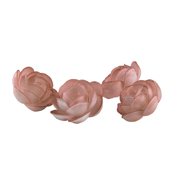 Roses Marie aérographe Ø 50