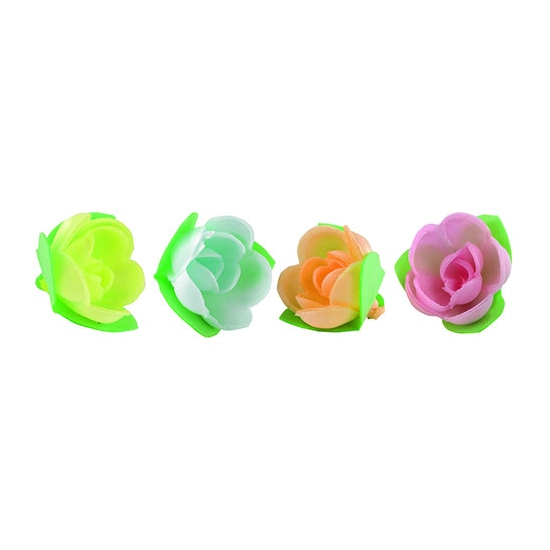 Roses mini-corolle tendre