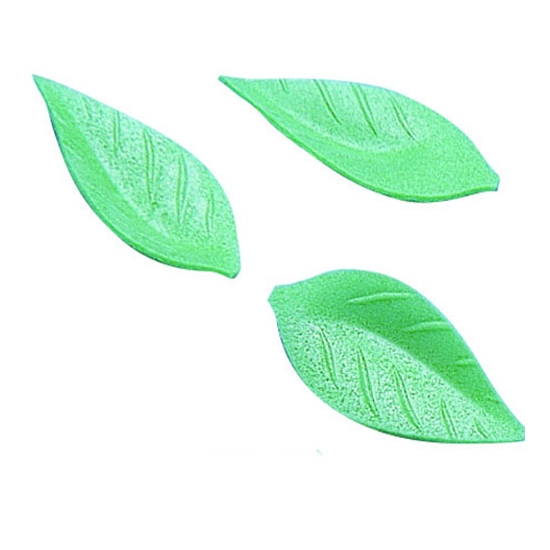 Feuilles de liseron