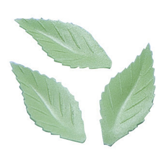 Feuilles de rose
